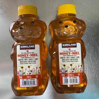 コストコ(コストコ)のはちみつ ベアージャグ 750g(その他)