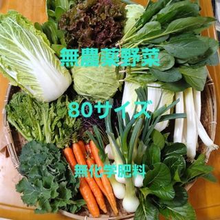 無農薬野菜　80サイズ  無化学肥料(野菜)