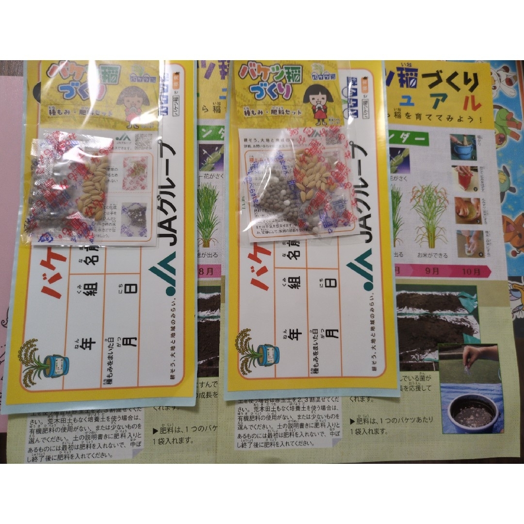 バケツ稲づくり、2セット 食品/飲料/酒の食品(米/穀物)の商品写真