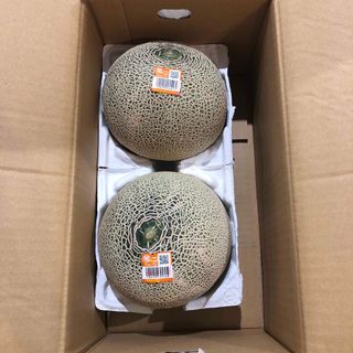 m10  光センサー選果！茨城県産赤肉クインシーメロン秀超特大1箱2個入り(フルーツ)