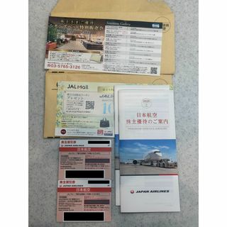 ジャル(ニホンコウクウ)(JAL(日本航空))のJAL 株主優待券　2枚　株主優待　2026年11月30日まで(その他)