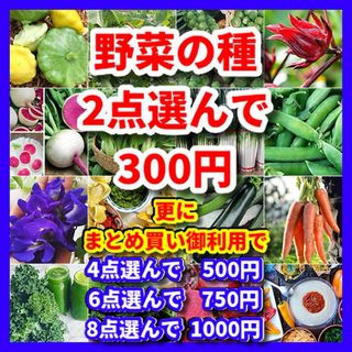 春にまく野菜の種・2点選べる⭕️まとめ買い御利用で更にお買い得‼️(野菜)