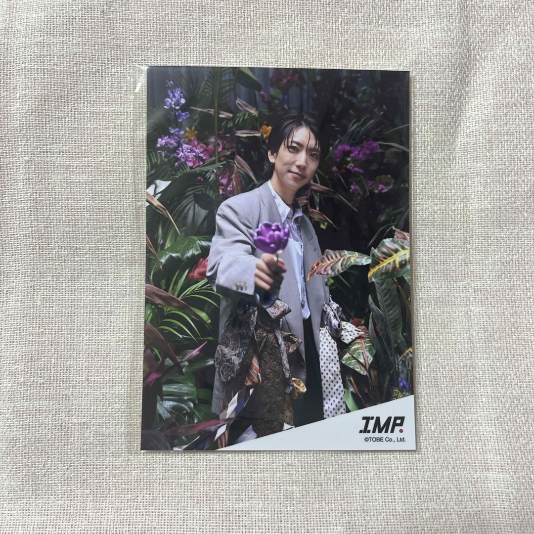 IMP.鈴木大河　フォトセット エンタメ/ホビーのタレントグッズ(アイドルグッズ)の商品写真