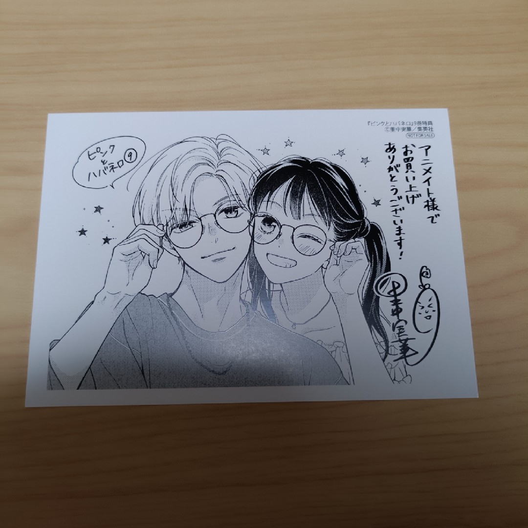 ピンクとハバネロ アニメイト特典 エンタメ/ホビーのおもちゃ/ぬいぐるみ(キャラクターグッズ)の商品写真