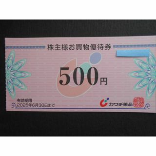 【同梱用・追加用】カワチ薬品500円券(ショッピング)