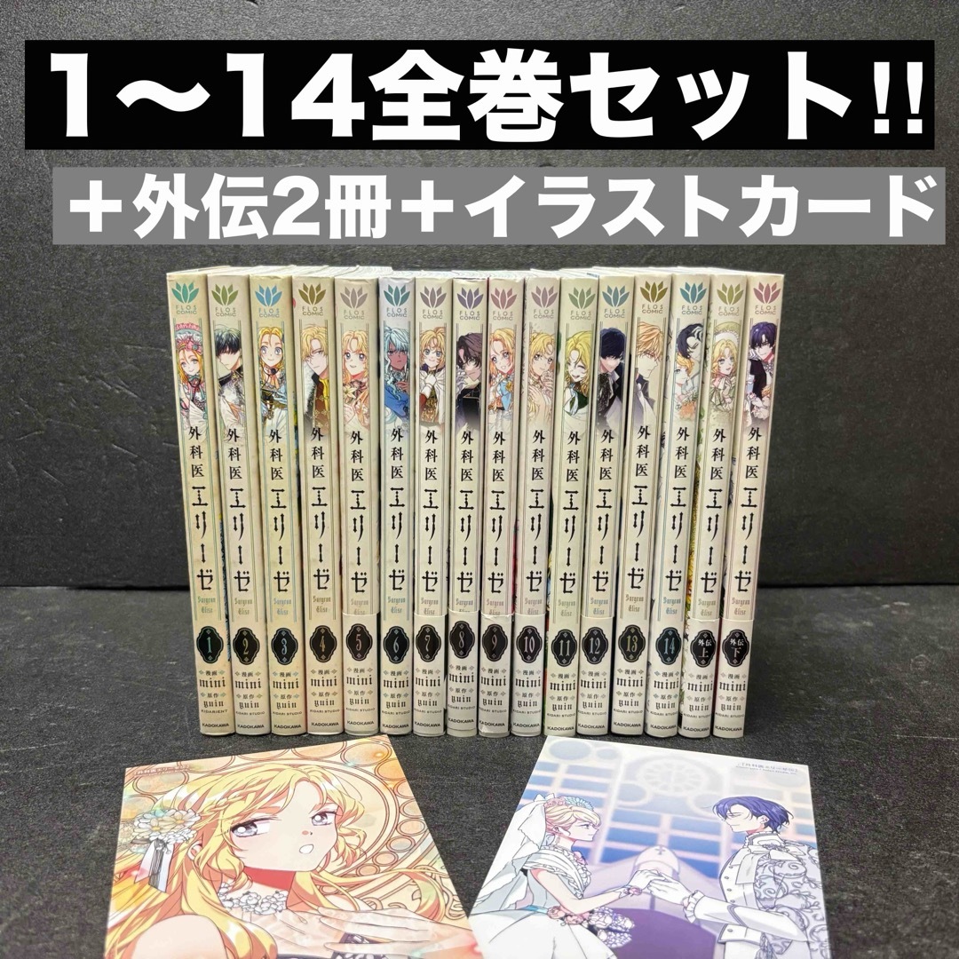 売れ筋商品 外科医エリーゼ全巻セット(1巻〜14巻)+外伝上下yuin / miniの その他