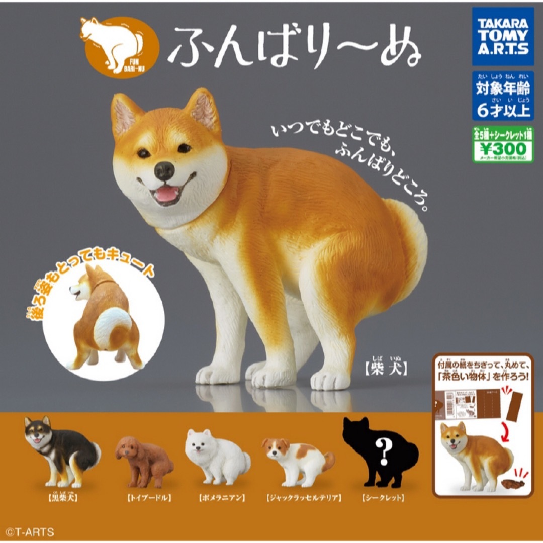 T-ARTS(タカラトミーアーツ)のふんばり〜ぬ ガチャガチャ エンタメ/ホビーのおもちゃ/ぬいぐるみ(キャラクターグッズ)の商品写真