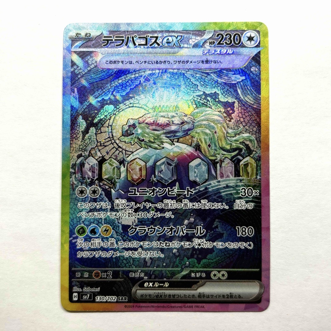 ポケモン(ポケモン)のポケモンカード テラパゴスex SAR エンタメ/ホビーのトレーディングカード(シングルカード)の商品写真