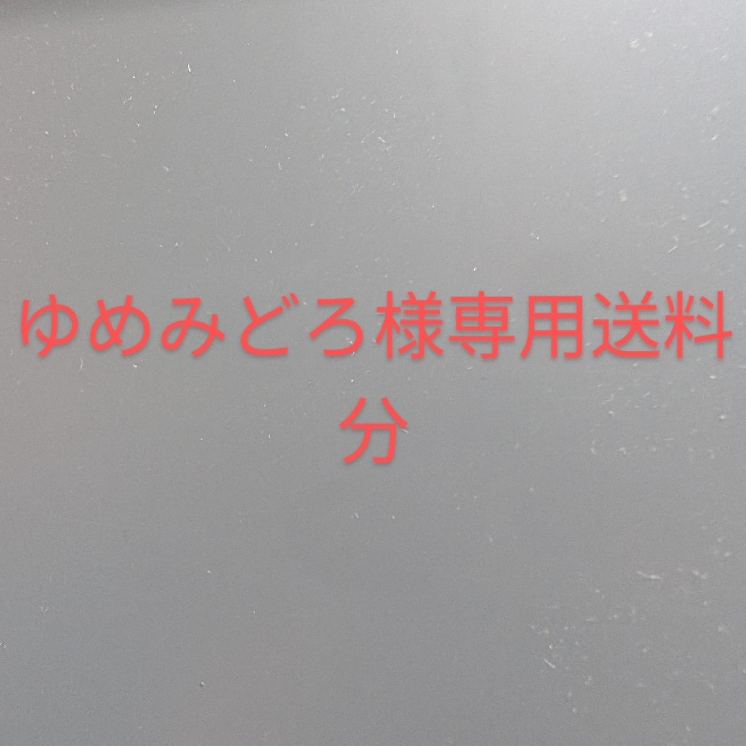 ゆめみどろ様専用送料分 その他のその他(その他)の商品写真