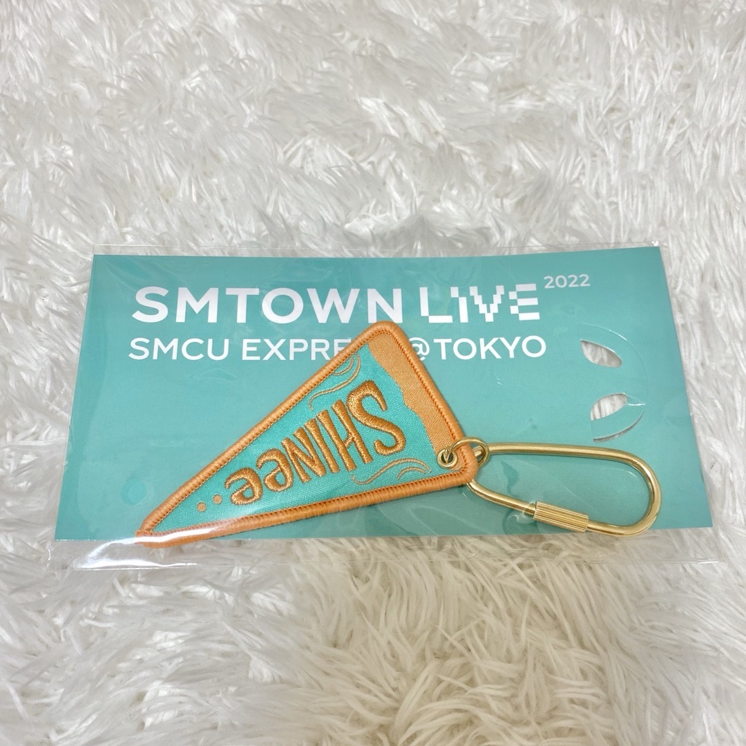 SHINee(シャイニー)のSMTOWN LIVE SHINee キーホルダー エンタメ/ホビーのタレントグッズ(アイドルグッズ)の商品写真