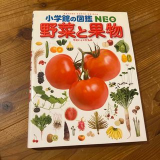 中古】 ひみつの白い石/冨山房/グンネル・リンドの通販 by 中古】 ひみつの白い石/冨山房/グンネル・リンドの通販 by