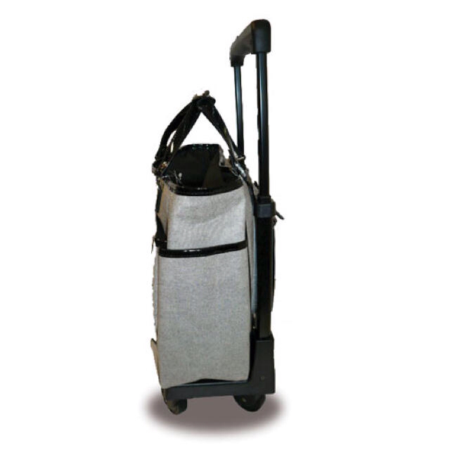 SWANY ウォーキングバッグ🌟 レディースのバッグ(スーツケース/キャリーバッグ)の商品写真