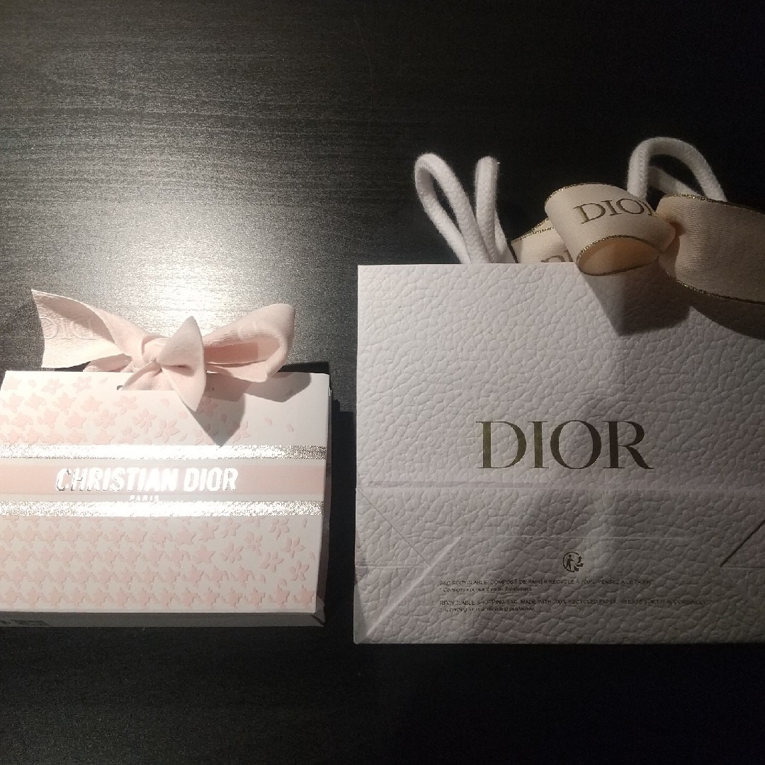 Dior ショップ袋 レディースのバッグ(ショップ袋)の商品写真