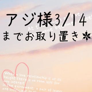 アジ様3/14までお取り置き＊(その他)