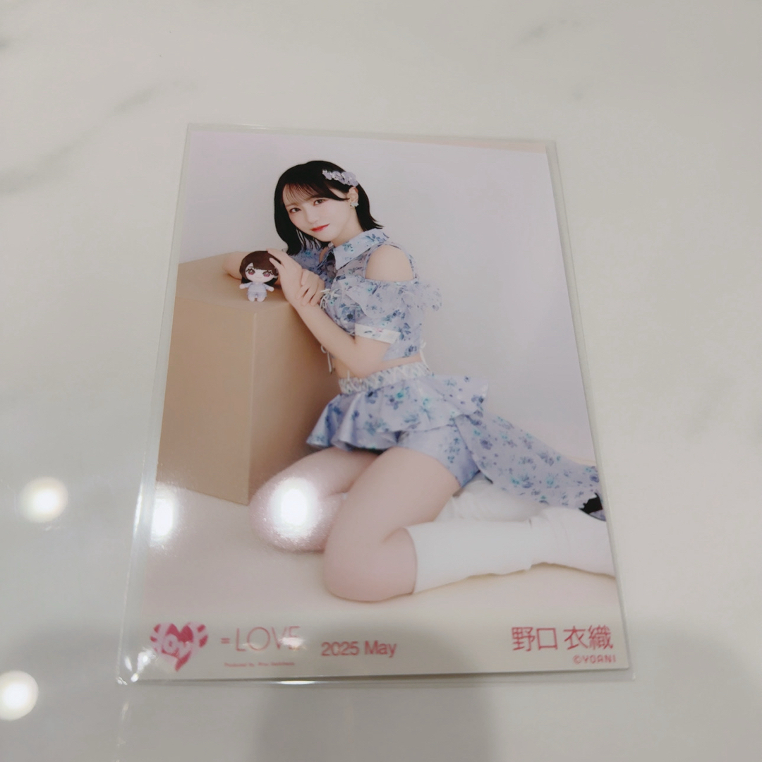 イコラブ 野口衣織 ぬいぐるみマスコット 生写真 ヒキ エンタメ/ホビーのタレントグッズ(アイドルグッズ)の商品写真