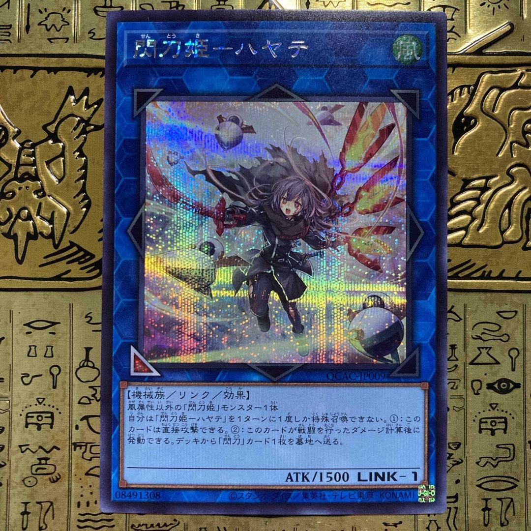 遊戯王(ユウギオウ)の【最安値】遊戯王カード 閃刀姫ハヤテ シークレット エンタメ/ホビーのトレーディングカード(シングルカード)の商品写真