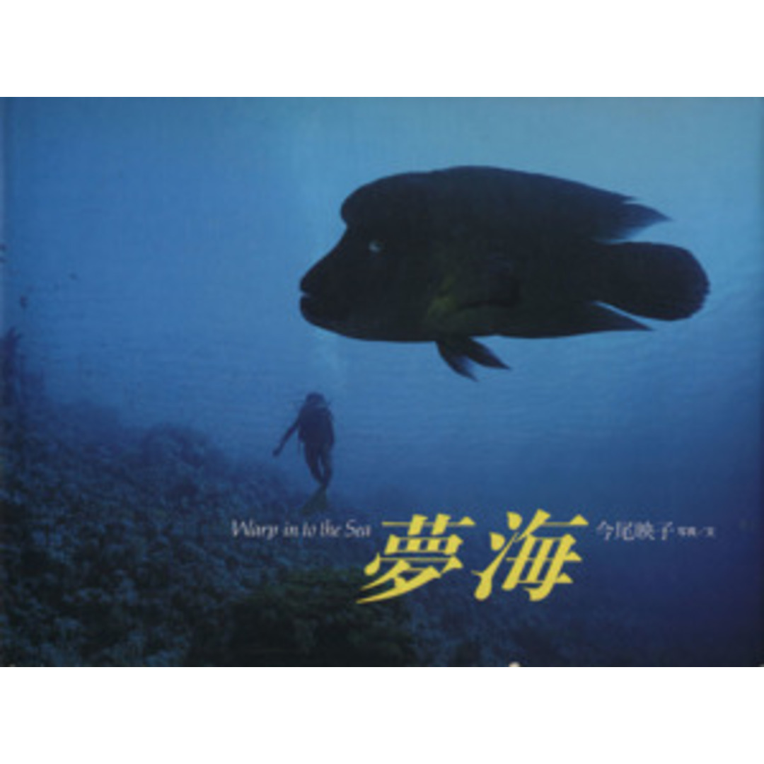 夢海 Warp in to the Sea/今尾映子【写真・文】 エンタメ/ホビーの本(その他)の商品写真