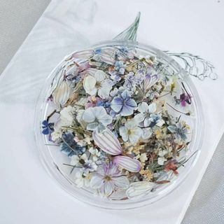 【AAGWW】 ドライフラワー ネイルパーツ 押し花 天然花 花 デコパーツ 工(その他)