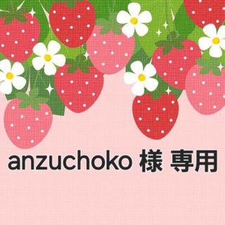 ♡anzuchoko様 専用ページ♡(キーホルダー/ストラップ)