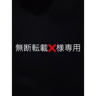 無断転載様専用(ミュージシャン)