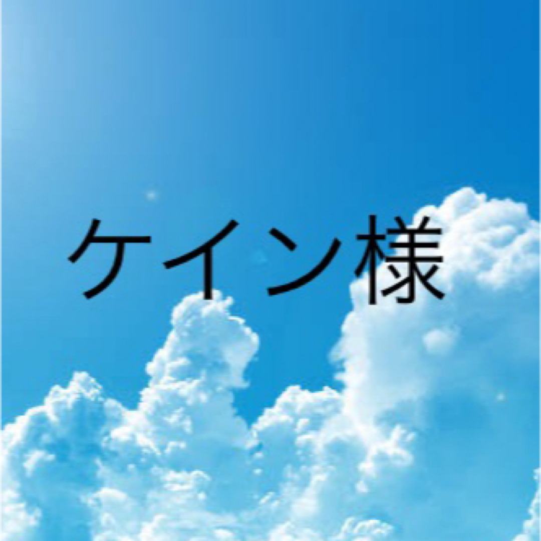 ケイン様（2）