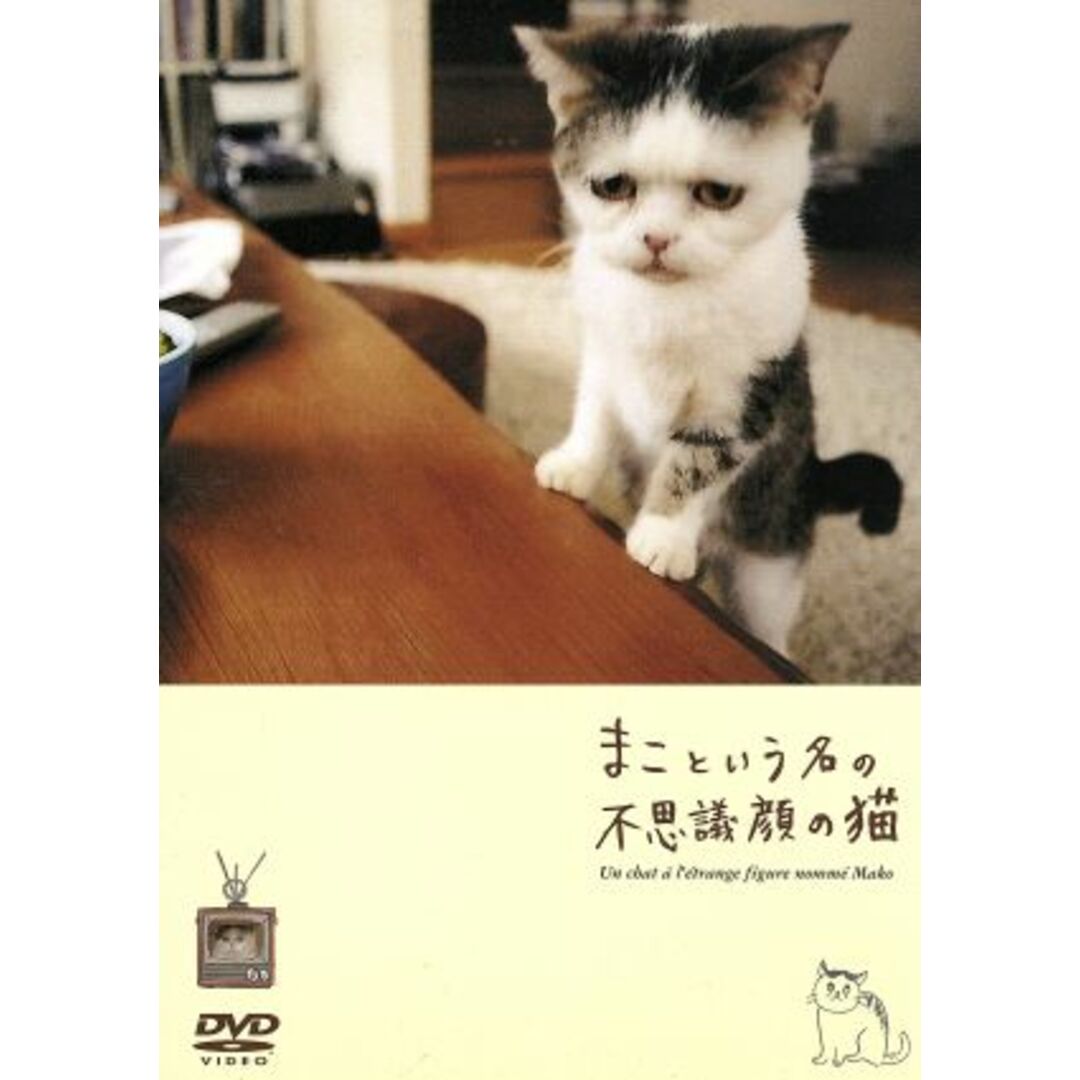 まこという名の不思議顔の猫 エンタメ/ホビーのDVD/ブルーレイ(趣味/実用)の商品写真
