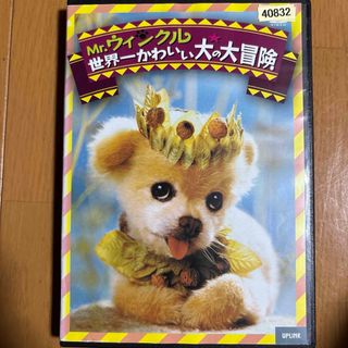 Mr.ウィンクル 世界一かわいい犬の大冒険 字幕のみ DVD(外国映画)