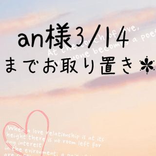 プチジャム(Petit jam)のan様3/14までお取り置き＊(その他)