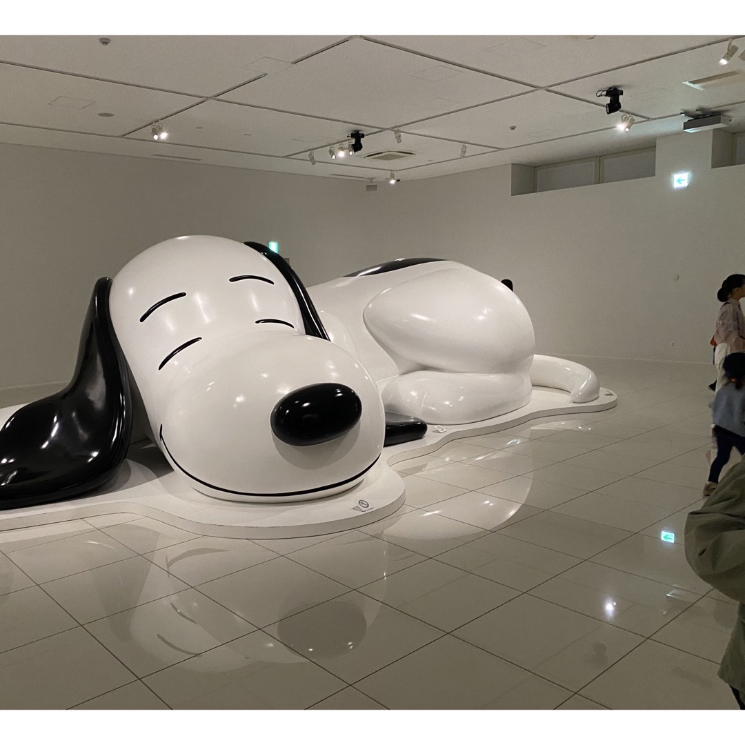 さなさま 専用 その他のペット用品(犬)の商品写真