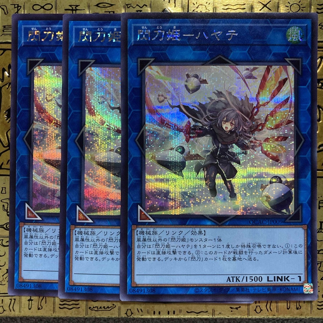 遊戯王(ユウギオウ)の【最安値】遊戯王カード 閃刀姫ハヤテ シークレット 絵違い 3枚 エンタメ/ホビーのトレーディングカード(シングルカード)の商品写真