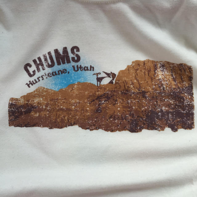 CHUMS(チャムス)のCHUMS♡Ｔシャツ レディースのトップス(Tシャツ(半袖/袖なし))の商品写真