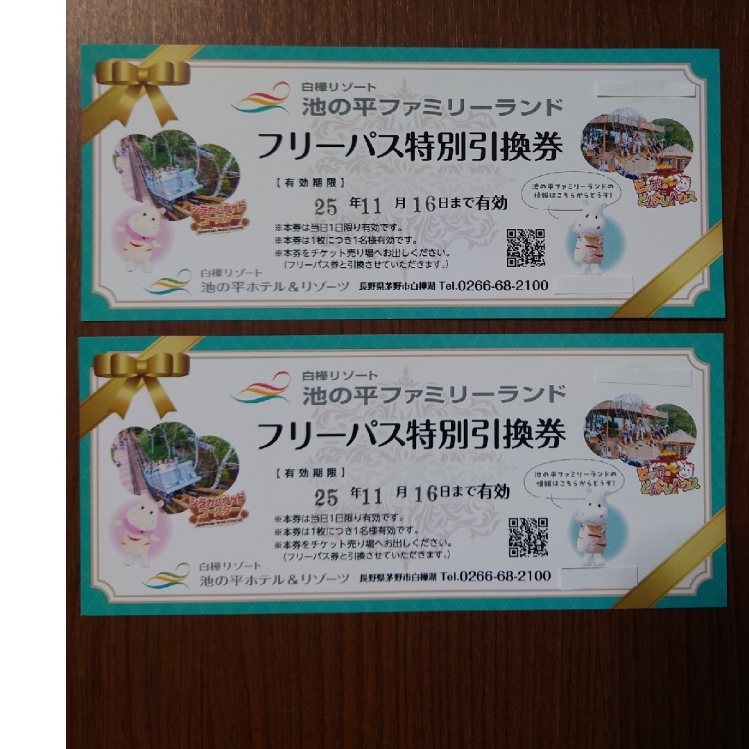 池の平ファミリーランドフリーパス引換券2枚 チケットの施設利用券(遊園地/テーマパーク)の商品写真