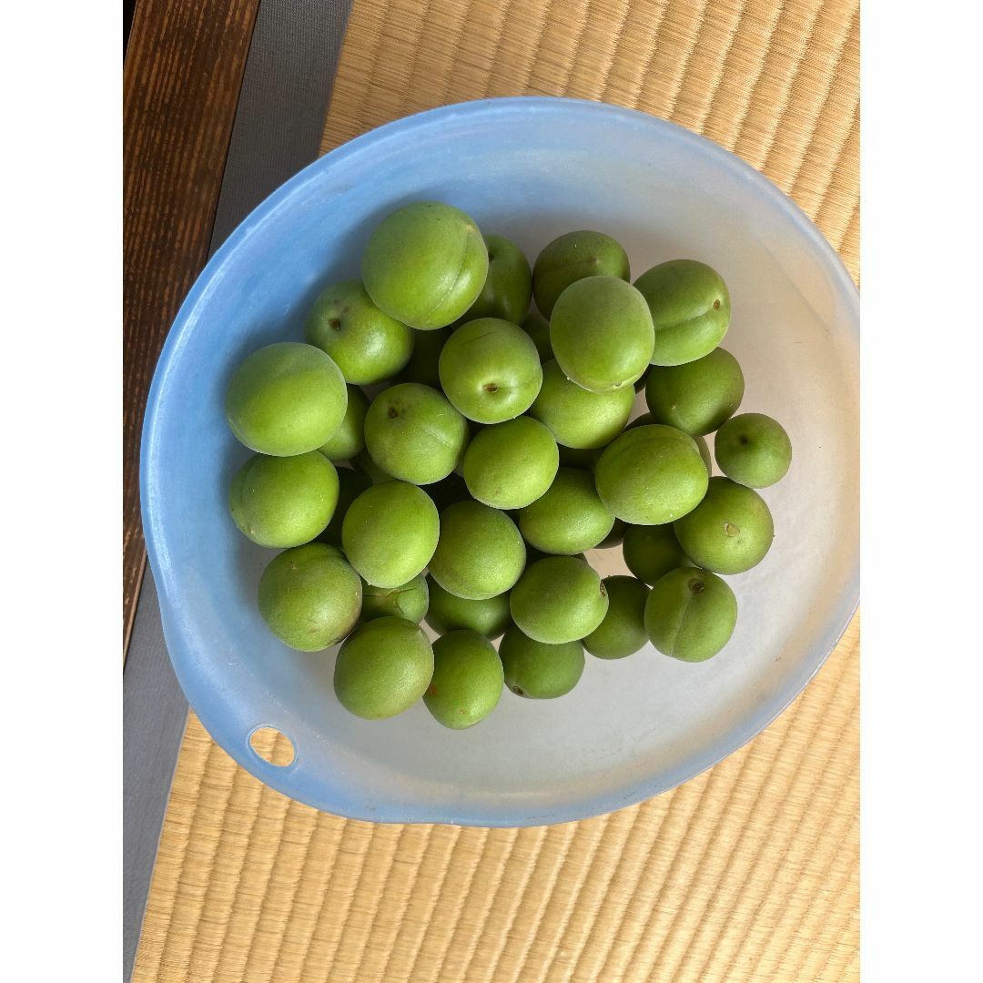 広島県産　南高梅（青梅）3ｋg