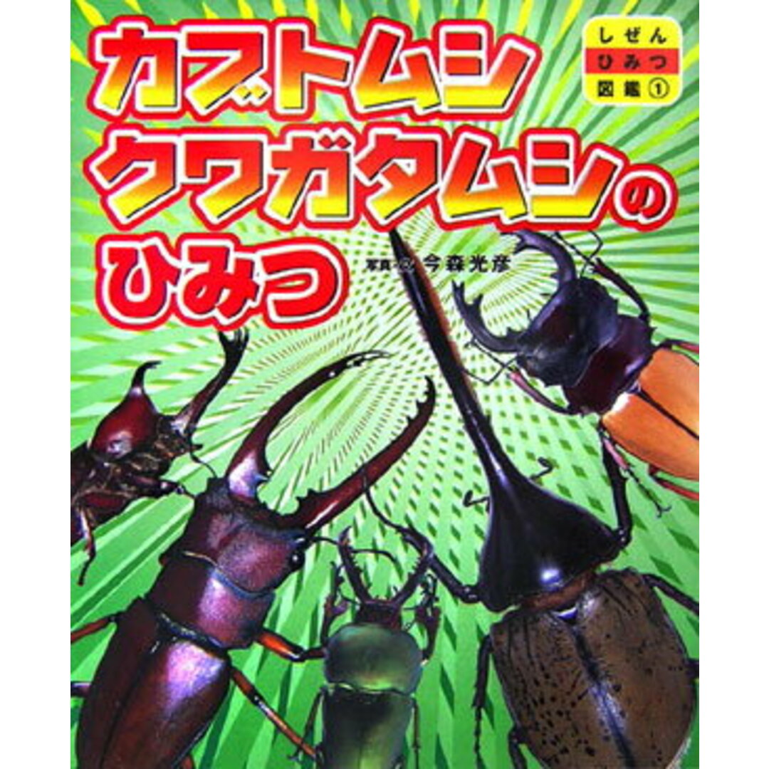 カブトムシクワガタムシのひみつ /ひかりのくに/今森光彦(大型本) エンタメ/ホビーの本(絵本/児童書)の商品写真
