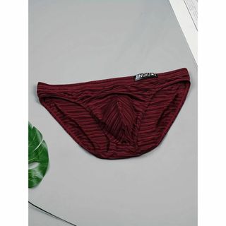 5枚セット ミックスカラー メンズ 夏用快適ストレッチブリーフ(その他)