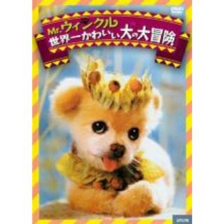 【中古】DVD▼Mr.ウィンクル 世界一かわいい犬の大冒険【字幕】▽レンタル落ち(外国映画)