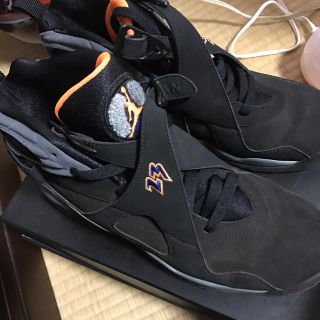 ナイキ(NIKE)のUsed Jordan 25cm(スニーカー)