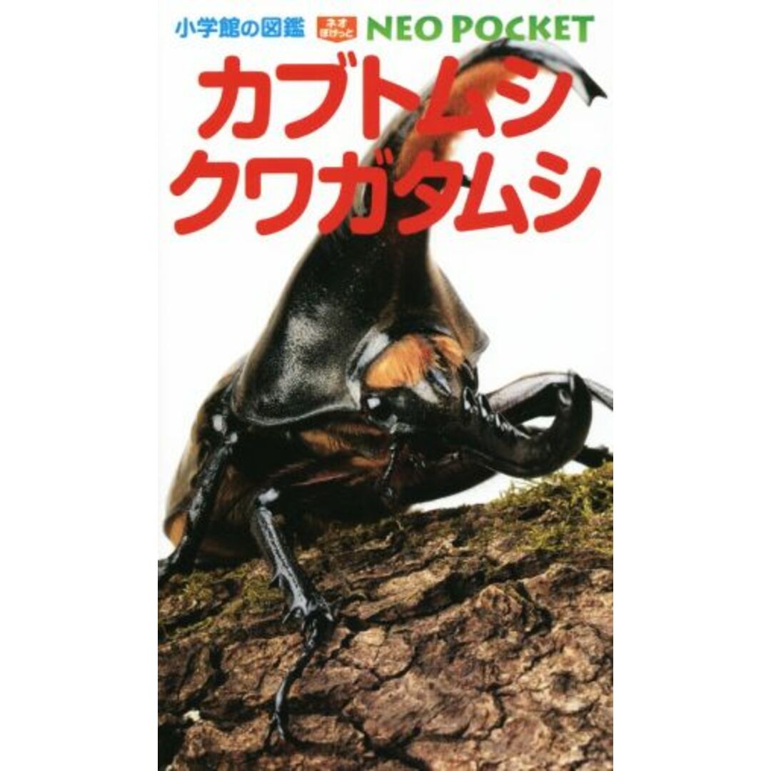 カブトムシ クワガタムシ 小学館の図鑑NEO POCKET10/小学館 エンタメ/ホビーの本(絵本/児童書)の商品写真