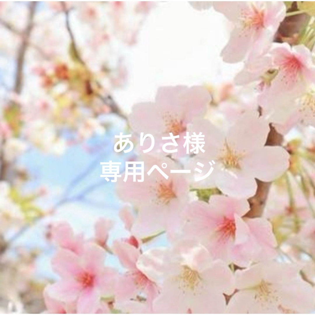 なにわ男子(ナニワダンシ)のありさ様専用ページ その他のその他(オーダーメイド)の商品写真