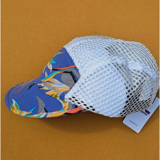 パタゴニア(patagonia)のパタゴニア Duckbill Cap ダックビル PVTB 2016(キャップ)