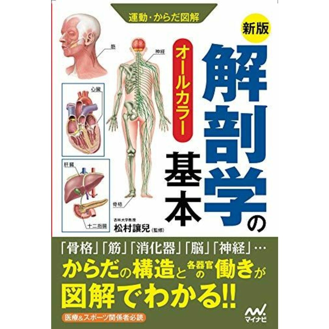 新版 運動・からだ図解 解剖学の基本 エンタメ/ホビーの本(語学/参考書)の商品写真