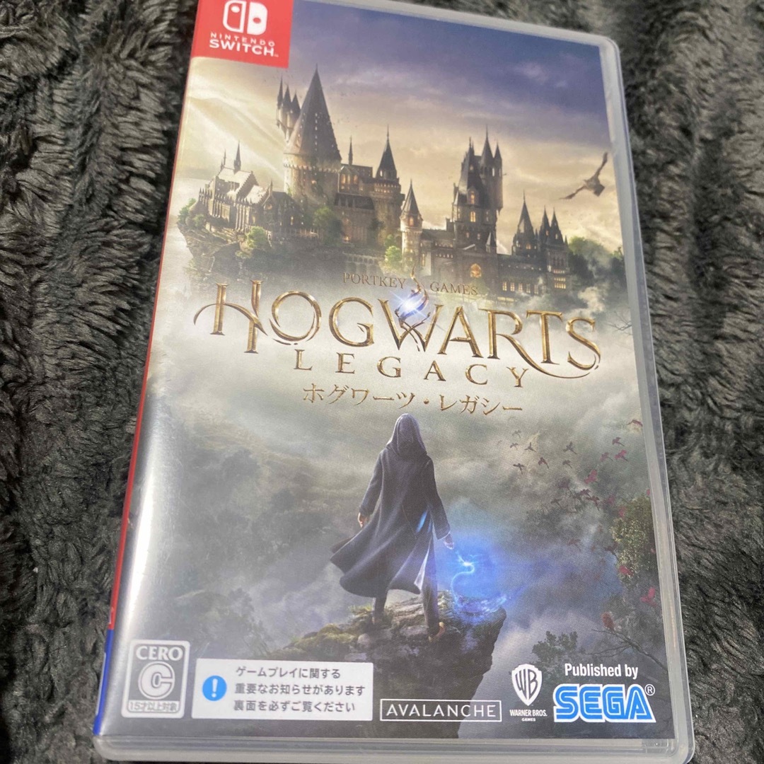 SEGA(セガ)のホグワーツ・レガシー Nintendo Switch エンタメ/ホビーのゲームソフト/ゲーム機本体(家庭用ゲームソフト)の商品写真