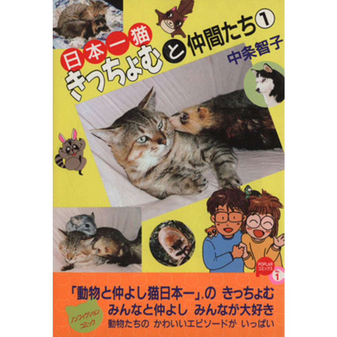 日本一猫きっちょむと仲間たち(1) ポプラC/中条智子(著者) エンタメ/ホビーの漫画(女性漫画)の商品写真