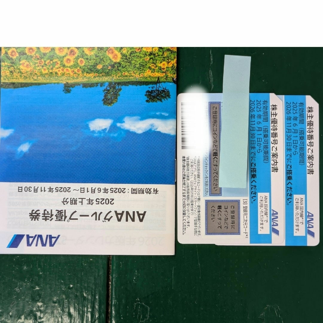 ANA(全日本空輸)(エーエヌエー(ゼンニッポンクウユ))のANA株主優待券2枚 2025 チケットの乗車券/交通券(航空券)の商品写真