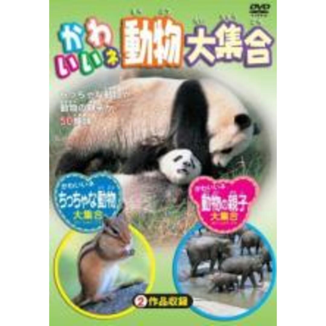 【処分特価・未検品・未清掃】【中古】DVD▼かわいいネ 動物大集合 エンタメ/ホビーのDVD/ブルーレイ(趣味/実用)の商品写真