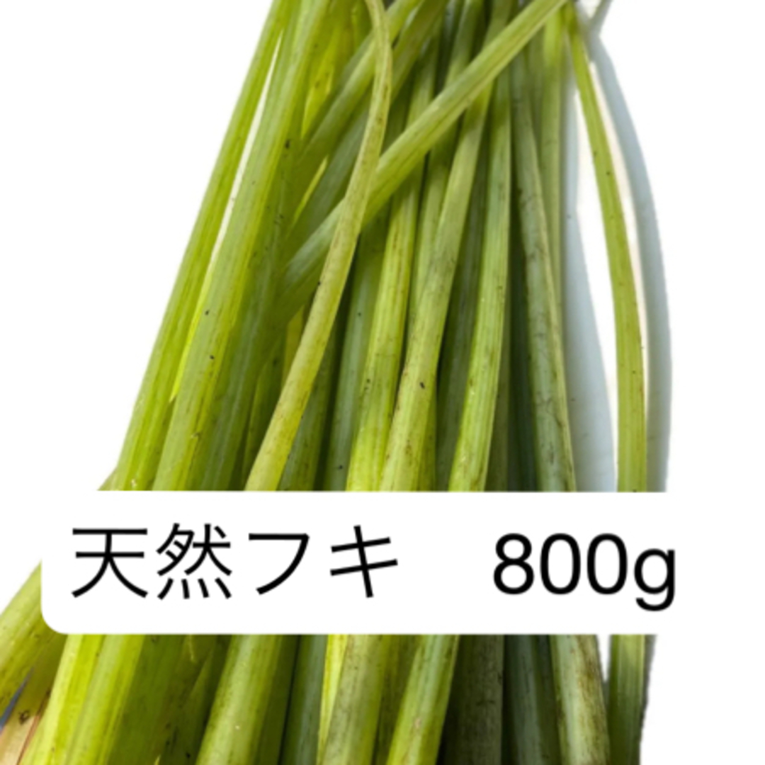 フキ 蕗 ふき 800g 食品/飲料/酒の食品(野菜)の商品写真