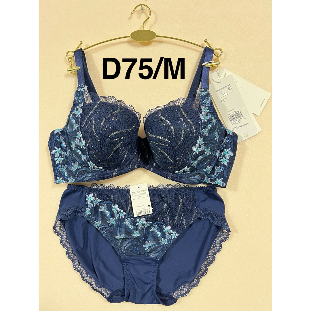 Triumph(トリンプ)の【値下げ】トリンプ 天使のブラ 極上ライト TR594 ネイビー D75/M レディースの下着/アンダーウェア(ブラ&ショーツセット)の商品写真