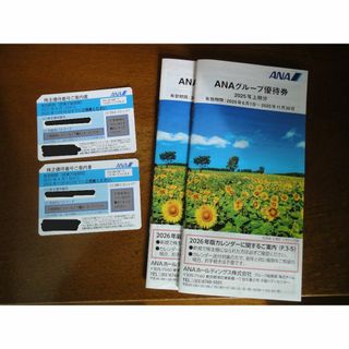 ANA　株主優待　２枚 有効期間 2026年11月30日(航空券)