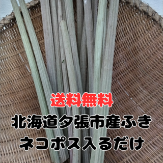 北海道夕張市産 ふき 送料無料【ネコポス入るだけ】(野菜)