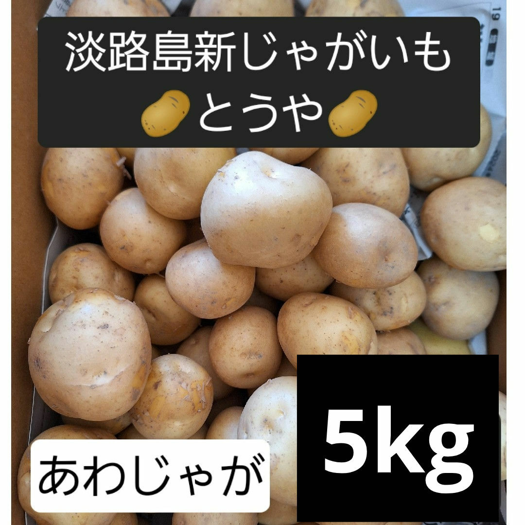 淡路島産新じゃがいも🥔(トウヤ)5kg 食品/飲料/酒の食品(野菜)の商品写真